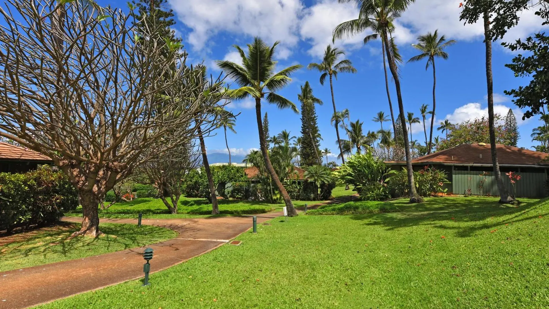 Holiday home International Colony Club 37 Villa Kaanapali United States